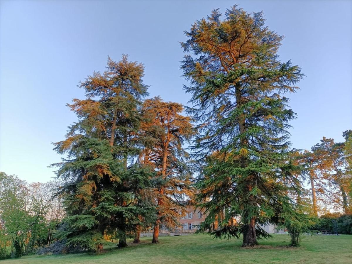 Le Jardin Des Cedres Otel Lavaur  Dış mekan fotoğraf