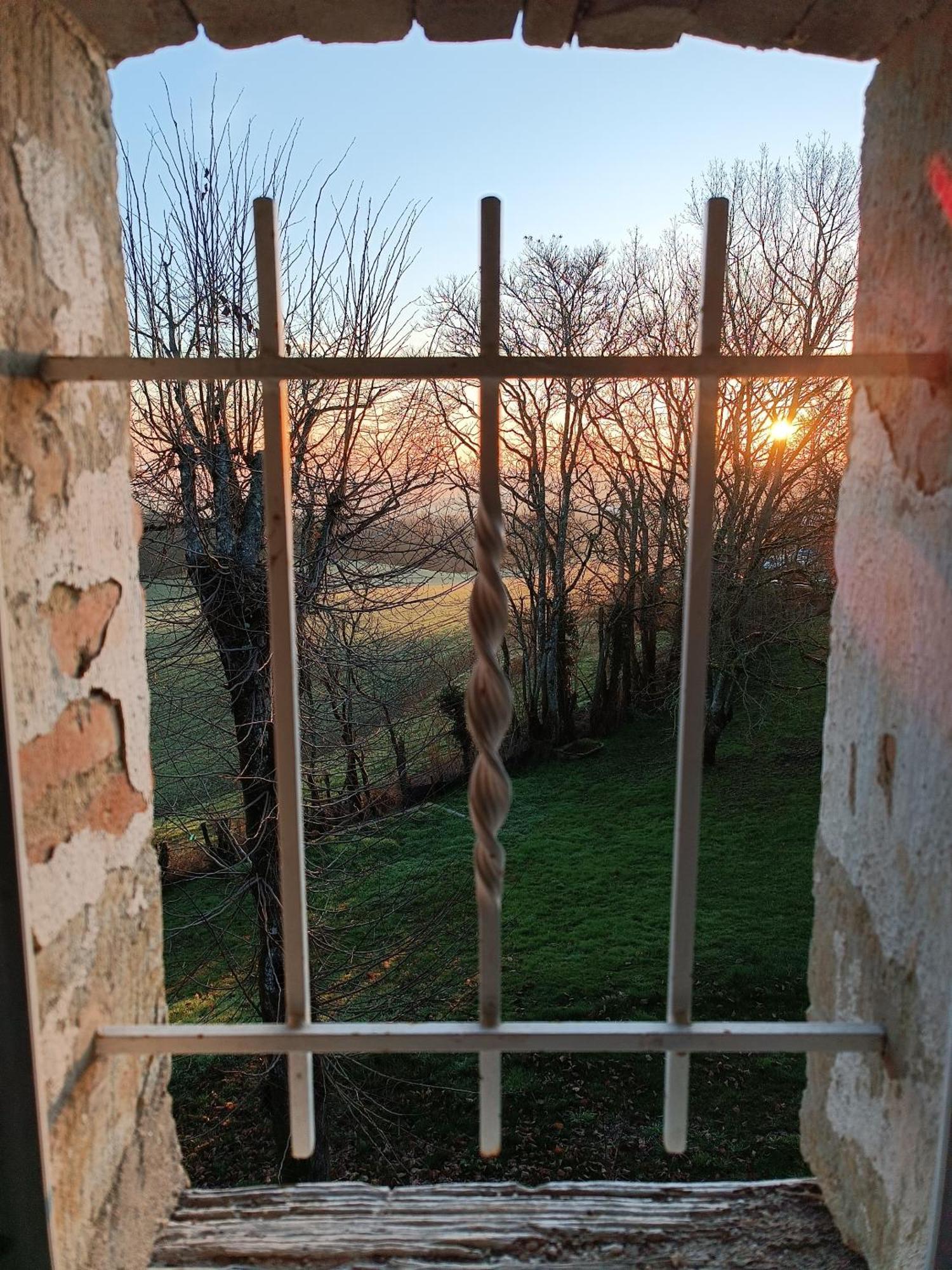 Le Jardin Des Cedres Otel Lavaur  Oda fotoğraf