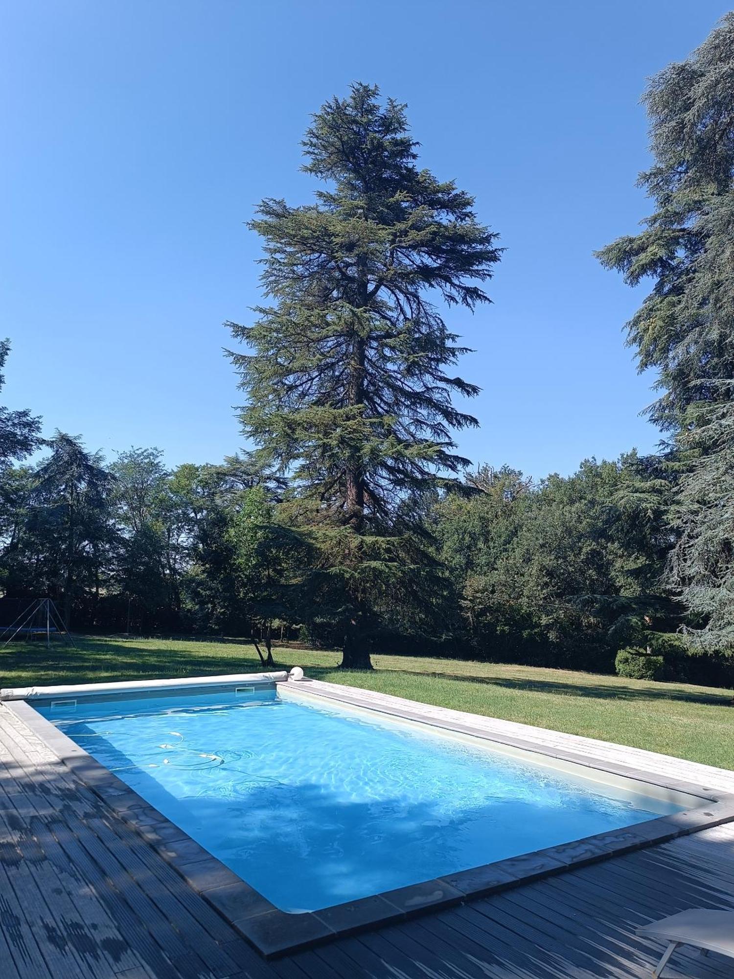 Le Jardin Des Cedres Otel Lavaur  Dış mekan fotoğraf